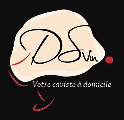 DSvin