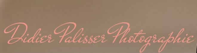 Didier Palisser Photographie