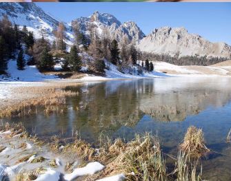 HARMONIE PHOTOGRAPHIE