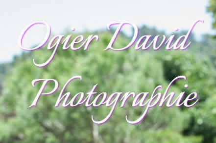 Photographe de Mariage - David Ogier