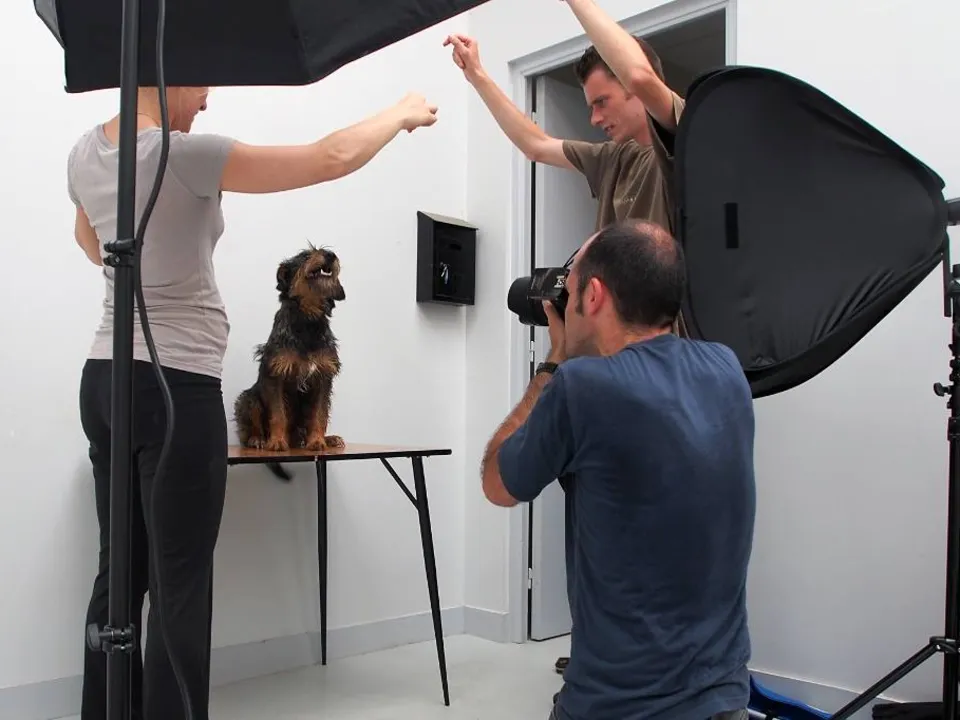 JULIEN BOISARD PHOTOGRAPHE