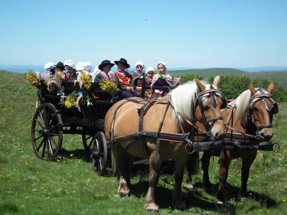 La Bride Champêtre