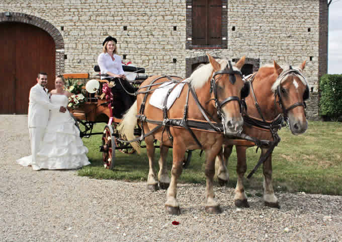 Petits Trots de Kanjy