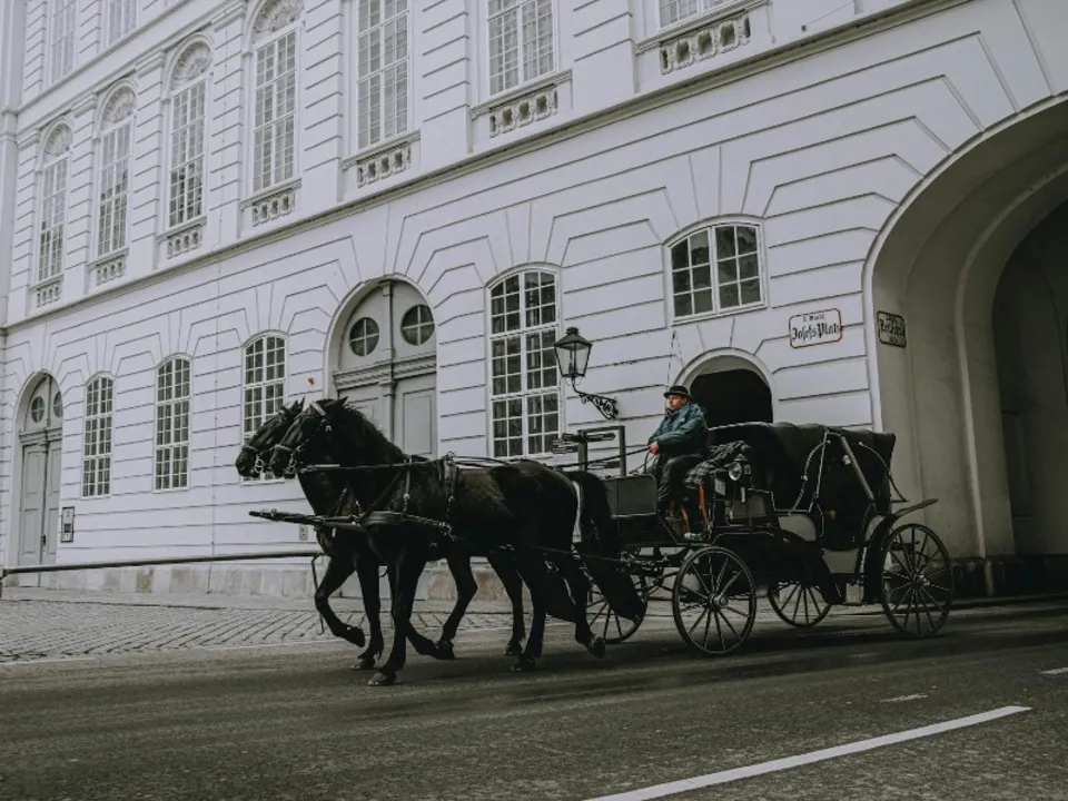 LE DOMAINE ÉQUESTRE DE RIANS