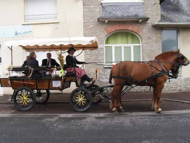 Ferme Équestre Esnol