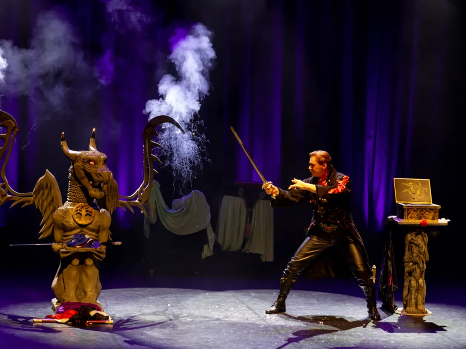 MAGICIEN HERVÉ LISTEUR