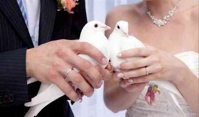 pigeondemariage