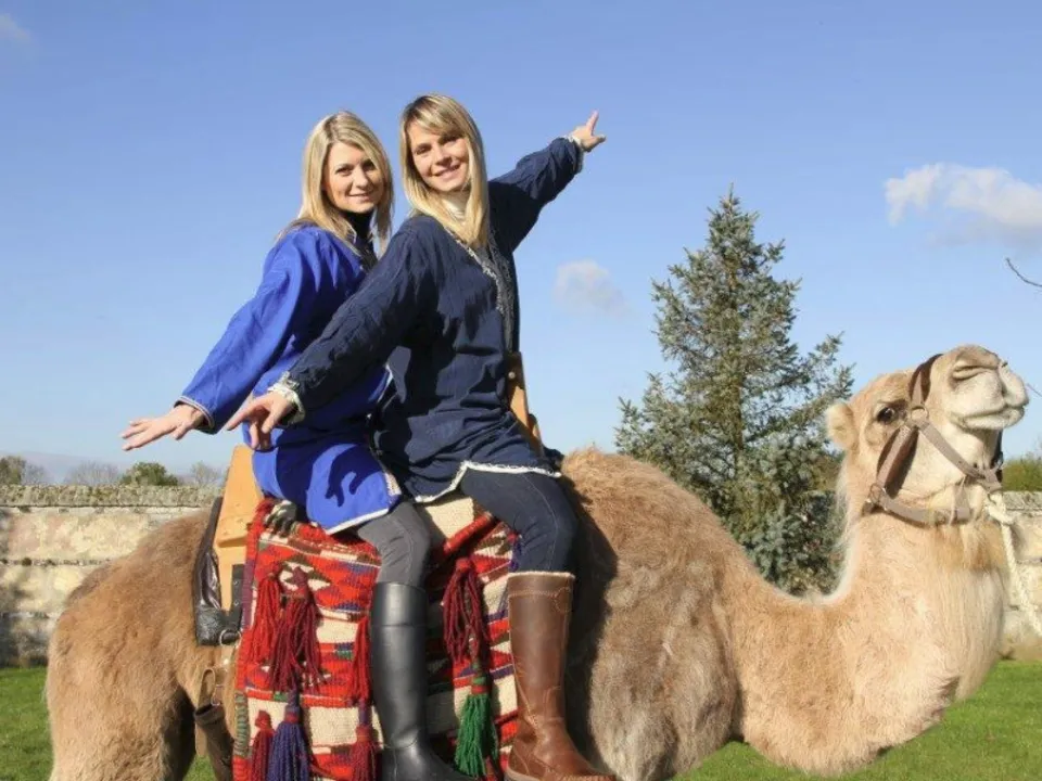 LE CLOS DES DROMADAIRES