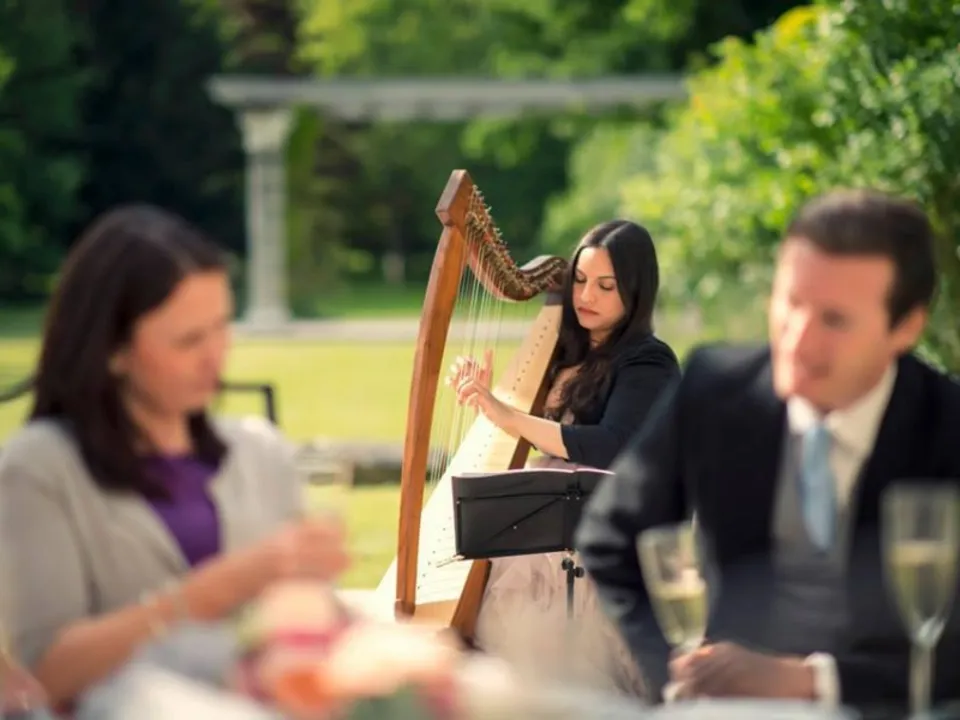  HARP AND WEDDINGS