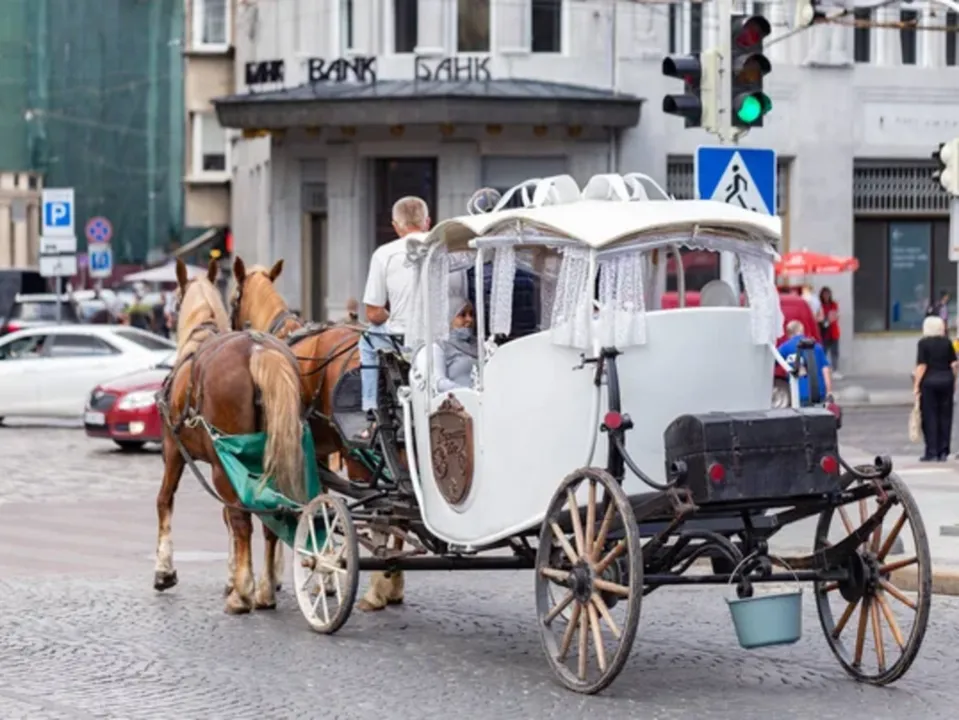 CHEVAL DE TRAIT NATURE – CALÈCHE