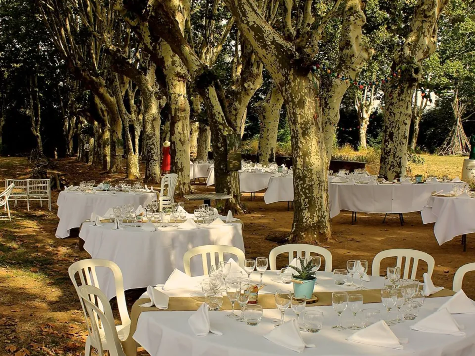 Domaine Pech Laurier