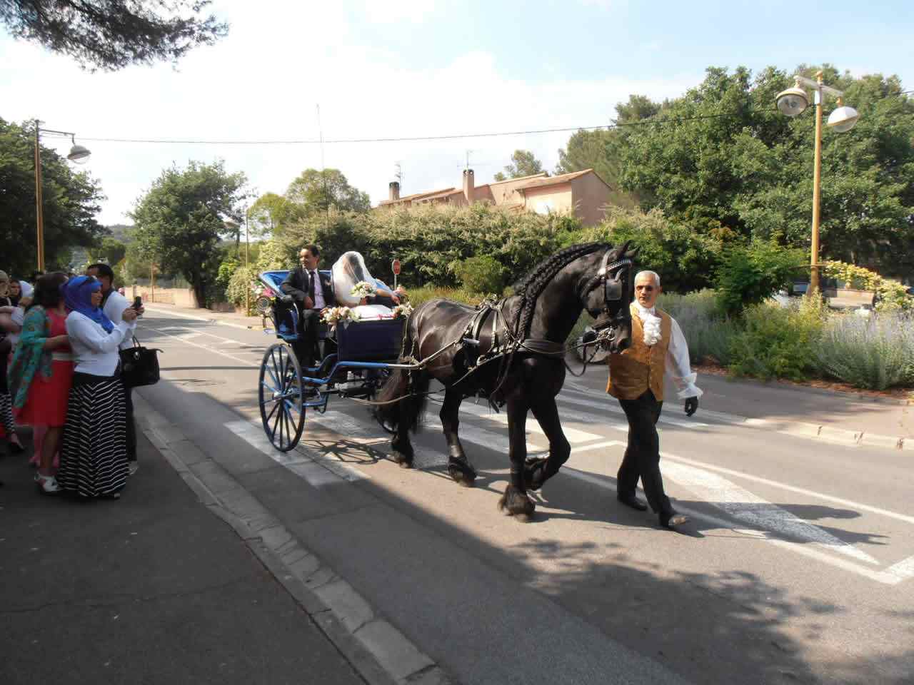  Le Mas des Chevaux Noirs