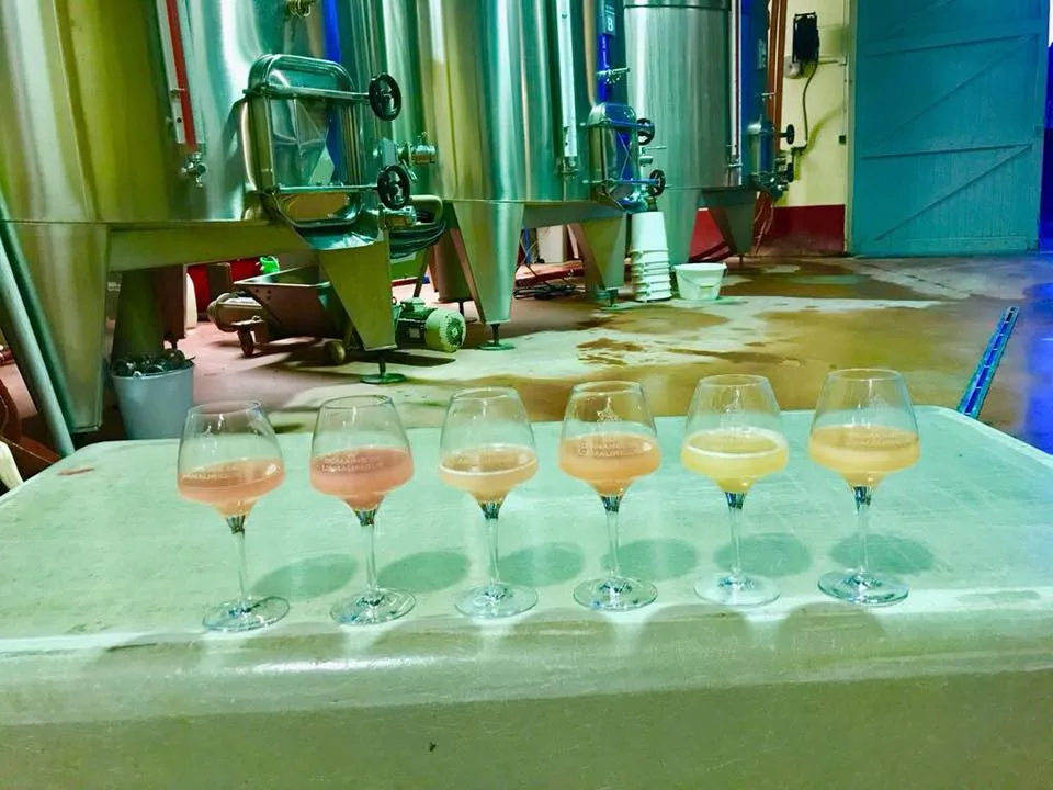 DOMAINE DE L'AMAURIGUE