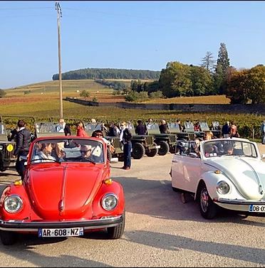 Les Coccinelles en Bourgogne