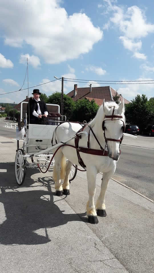  LES ECURIES DU DEVANT