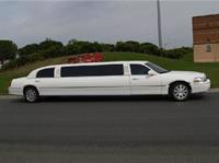 Limousine 81