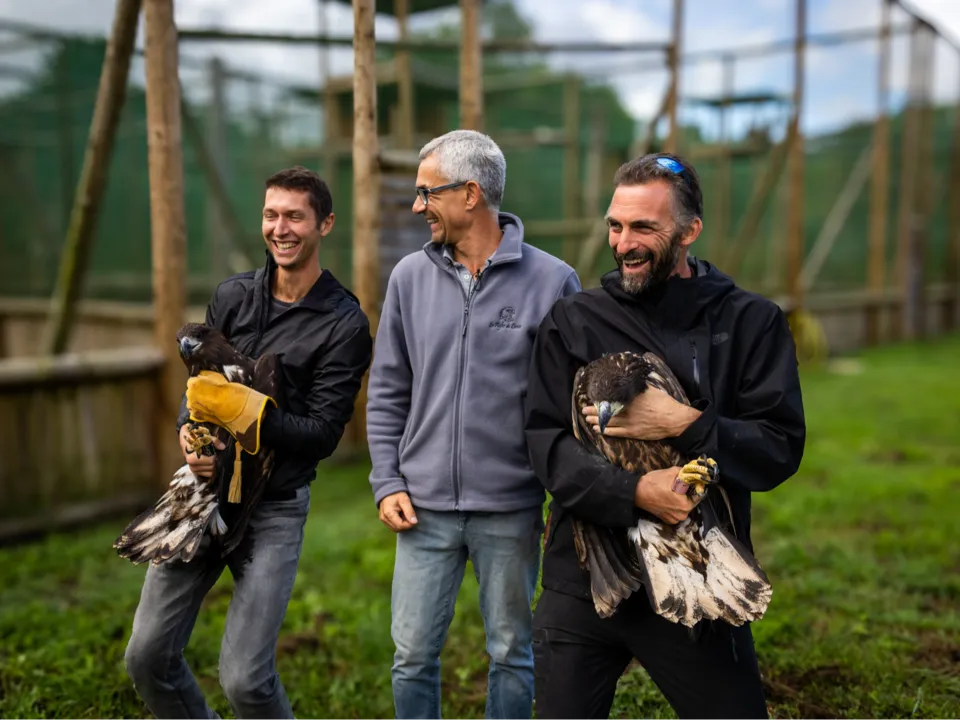 LES AIGLES DU LÉMAN