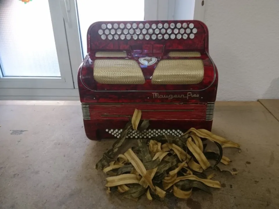 AU SOUFFLET QUI SWING