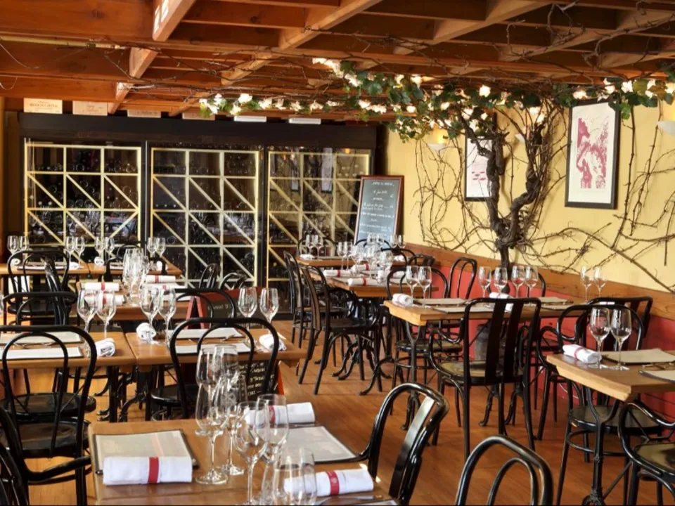 LE CHEMIN DES VIGNES 