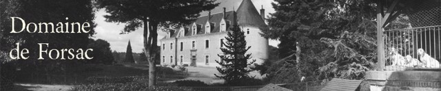 Château de Forsac