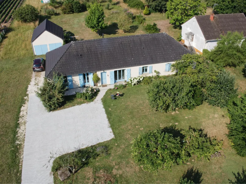 LE HÉRISSON BLEU (HERRY)