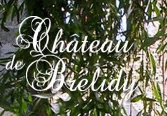 Château De Brelidy