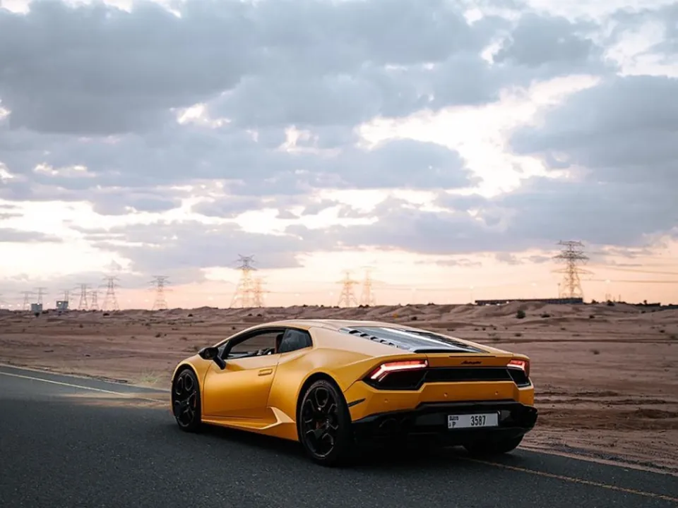 LES MARRONNIERS (SA)