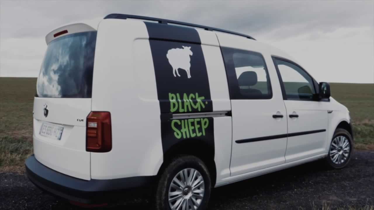Blacksheep
