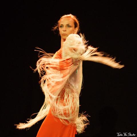 Cie flamenca Ana Ramo