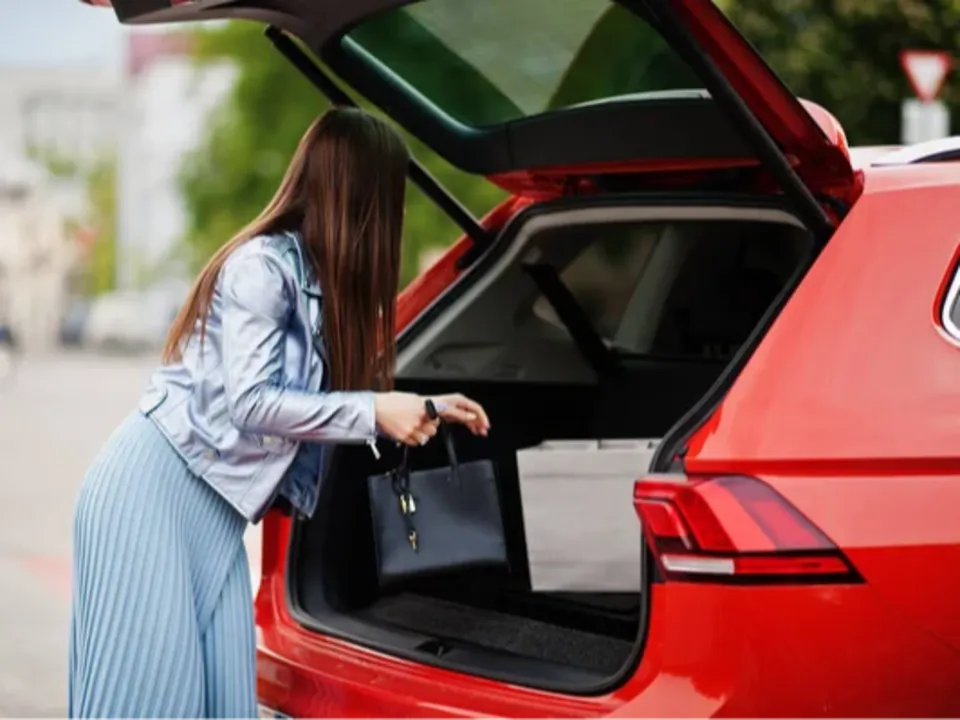 MÉDITERRANÉE TRANSFERS (SARL)