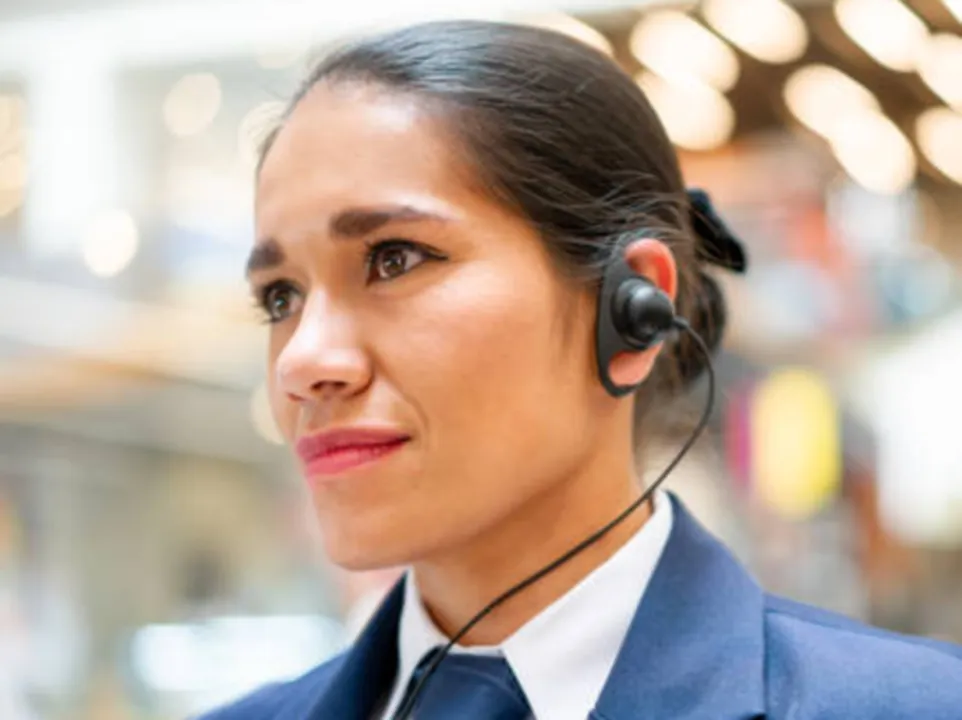 delta securite protection privee