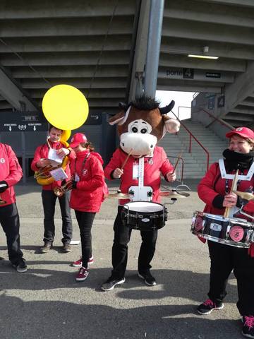 BANDA TAPAS CYMBALES 