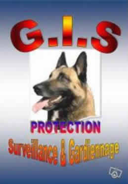 GIS Protection