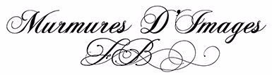  MURMURES D'IMAGES