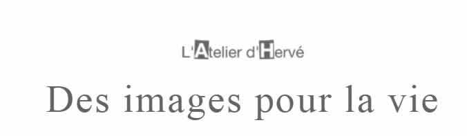 L'atelier D'hervé	