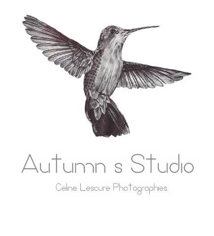 Autumn's Studio