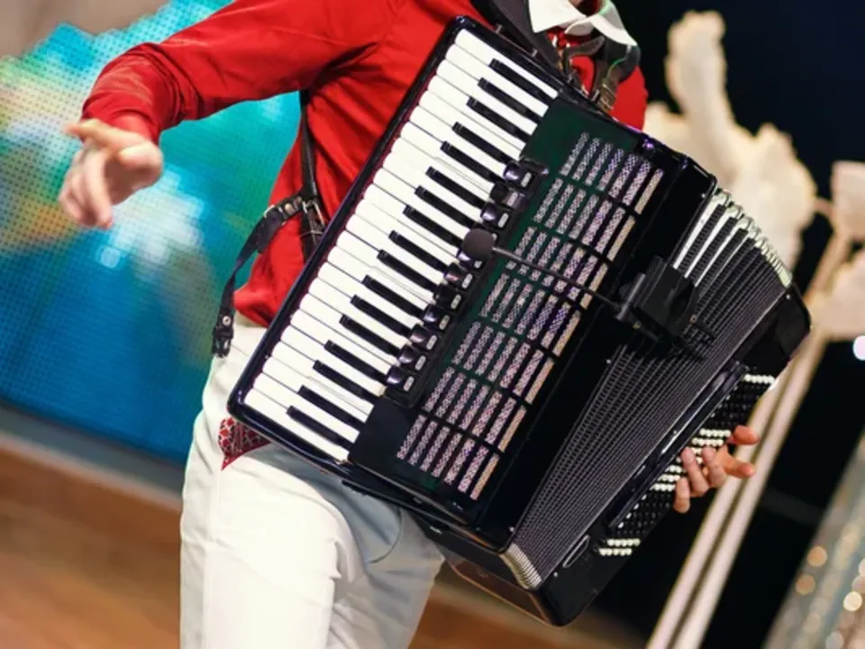 DAMIEN ET SON ACCORDÉON