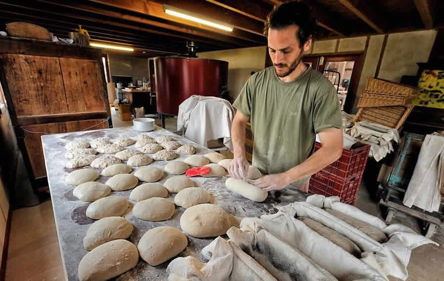 FRANÇOIS VAN MALLEGHEM