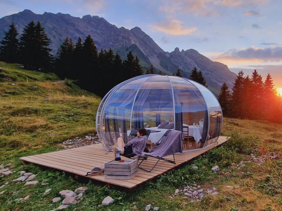 PLATIBUBBLE