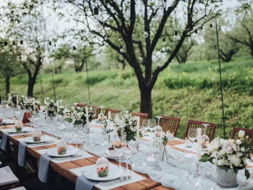 CÉRÉMONIES & COMPAGNIE
