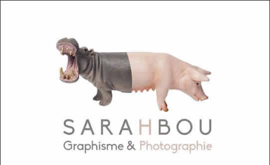 BOUILLAUD SARAH