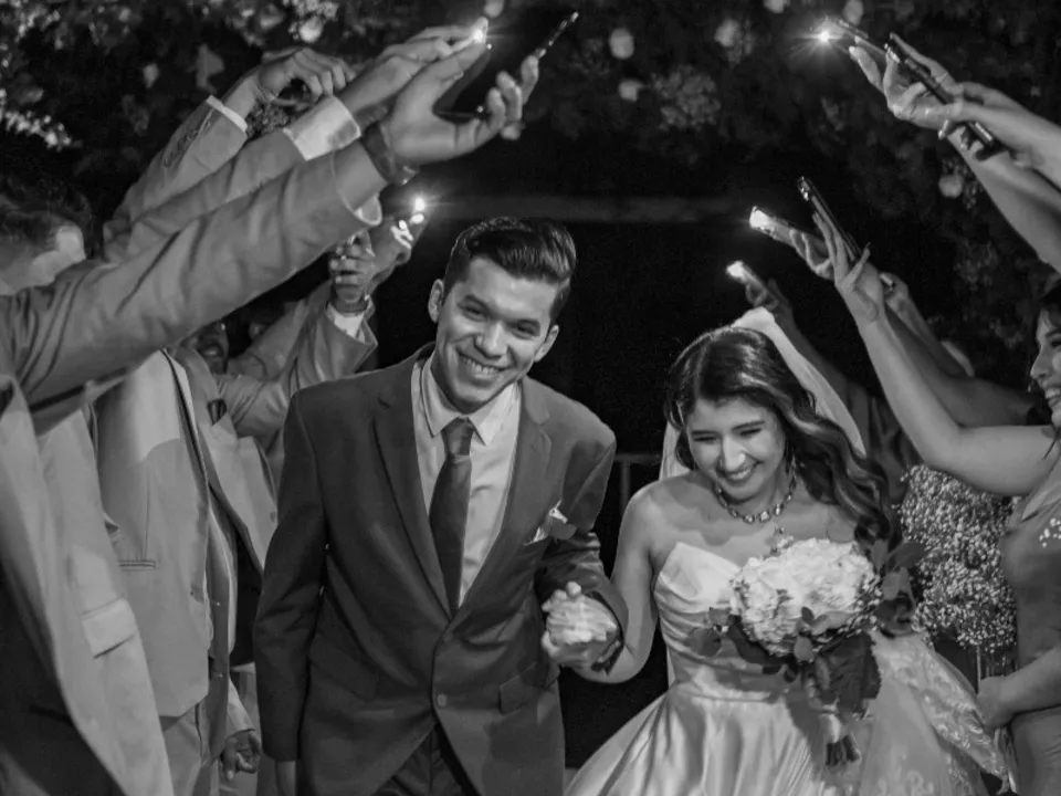 LOUVE DELFIEU-GUILLOU