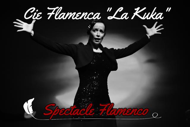 SONIKETE FLAMENCO de Montpellier