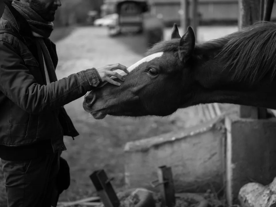 ELLE ET LUI PHOTOGRAPHIE
