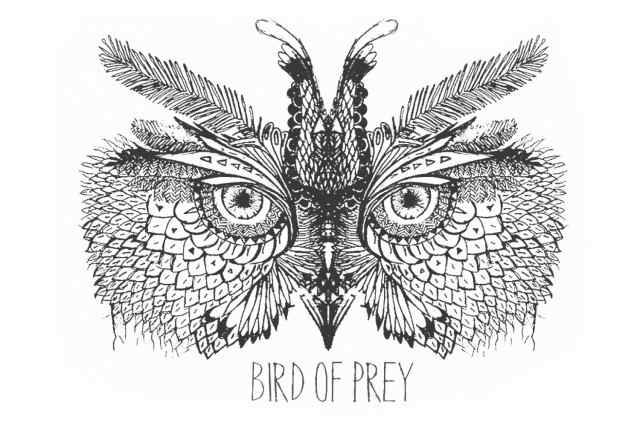 Bird-Of-Prey Studio