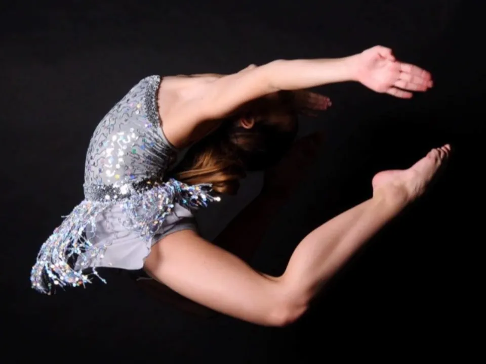 COMPAGNIE DE DANSE PROFESSIONNELLE 