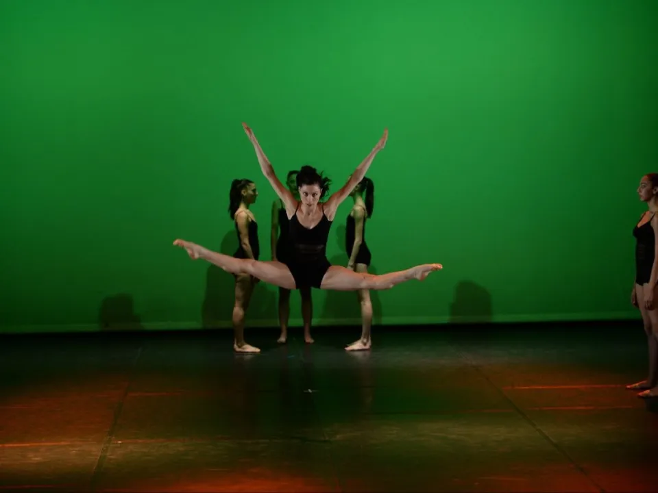 COMPAGNIE DE DANSE PROFESSIONNELLE 