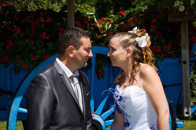 THE MOUSE PHOTOGRAPHER