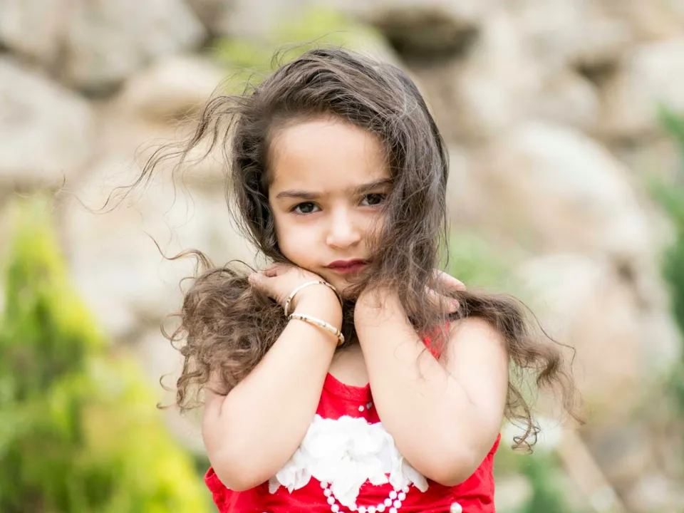 PHOTO SYNTHESE ELYSEES