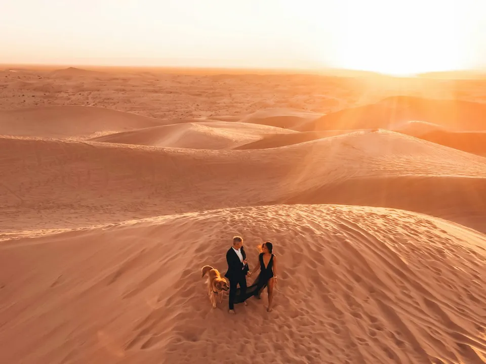 AÉRO PHOTO INDUSTRIE